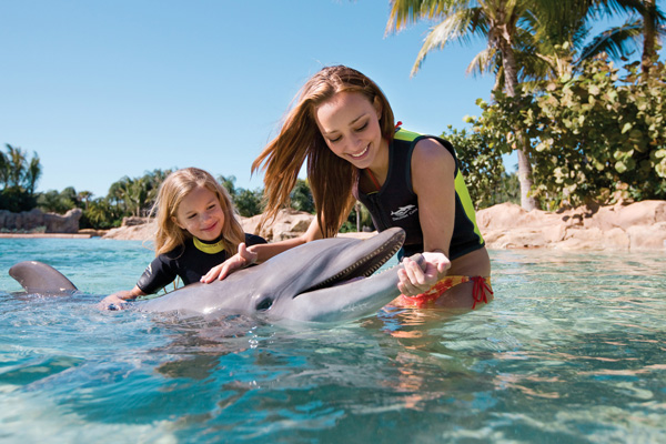 Encounter your favorite sea creatures, including dolphins, at Discovery Cove