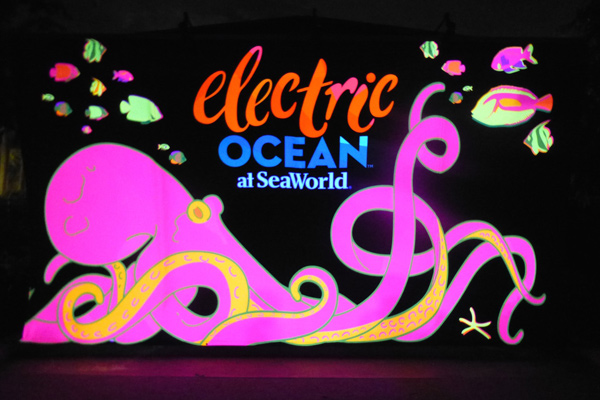 SeaWorld Orlando will heat up this summer with Electric Ocean