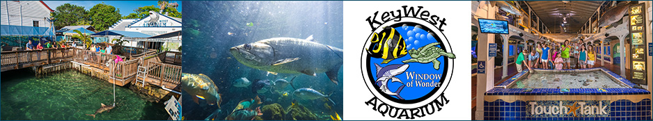Key West Aquarium Header Image