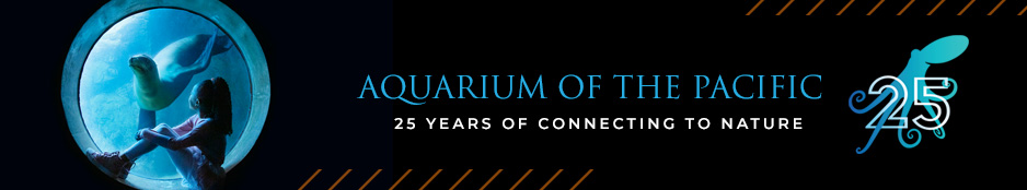 Aquarium of the Pacific – Memberships Header Image