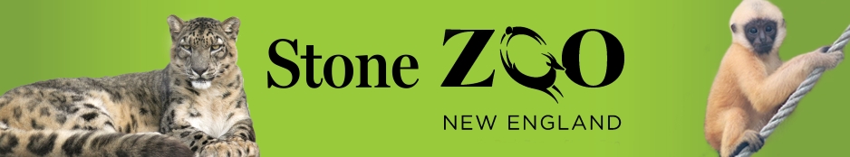 Stone Zoo: Zoo New England Header Image