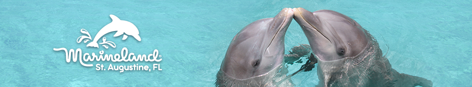 Marineland Dolphin Adventure Header Image