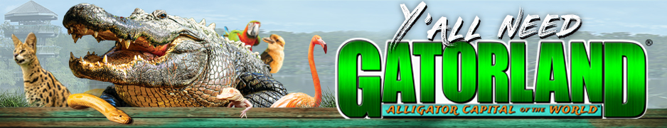 Gatorland Header Image