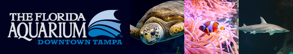 The Florida Aquarium Header Image