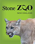 Stone Zoo: Zoo New England