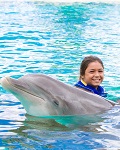 Dolphin Exploration at Sea Life Park