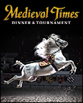 Medieval Times Texas
