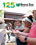 Bronx Zoo			