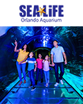 SEA LIFE Aquarium Orlando + VR Pods 