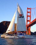Adventure Cat Sailing Charters - Bay Cruise