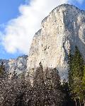 Yosemite & Giant Sequoia Tour – Extranomical Tours