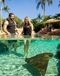 Discovery Cove: Ultimate Day Resort Package
