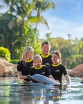 Discovery Cove: Ultimate Dolphin Swim Package