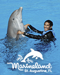 Dolphin Encounter by Marineland Dolphin Adventure