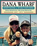 Dana Wharf - 1/2 Day Fishing Trips & Twilight Fishing Trips